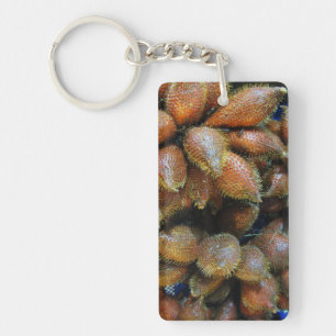 Salak [Snake Fruit]