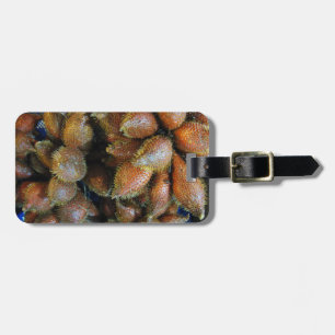 Salak [Snake Fruit] Bagagebricka
