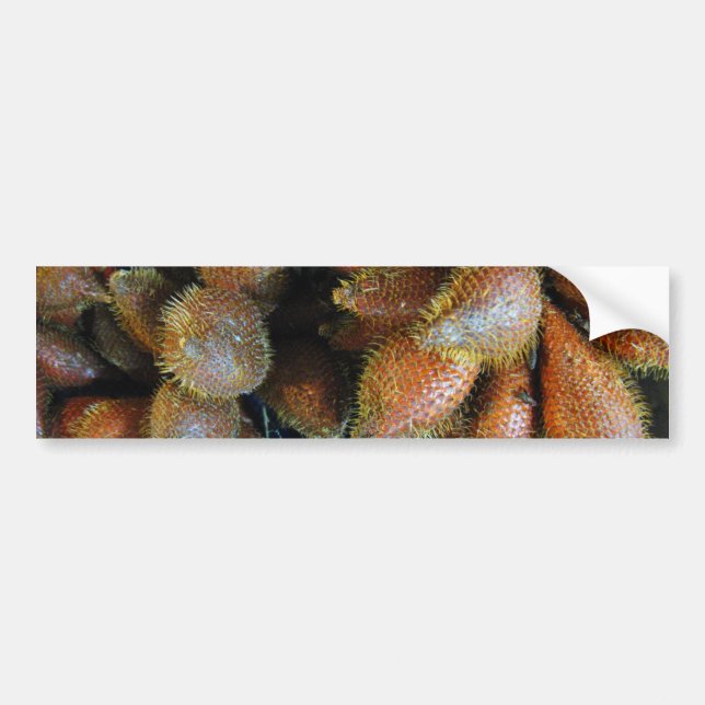 Salak [Snake Fruit] Bildekal (Framsidan)
