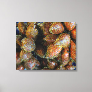 Salak [Snake Fruit] Canvastryck
