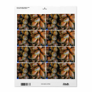 Salak [Snake Fruit] Fraktsedel