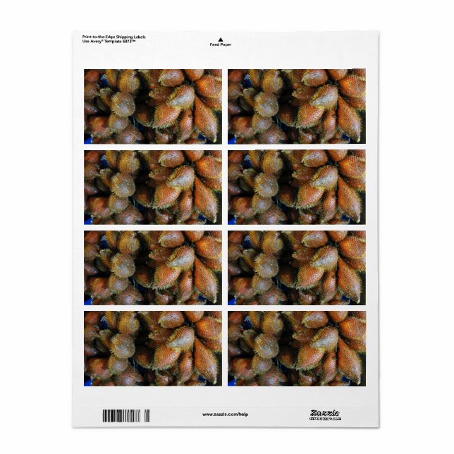 Salak [Snake Fruit] Fraktsedel (Helt Ark)