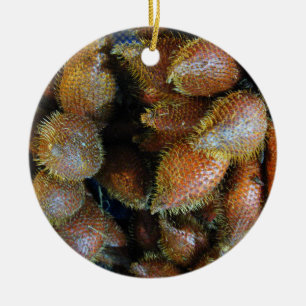 Salak [Snake Fruit] Julgransprydnad Keramik