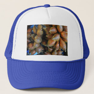 Salak [Snake Fruit] Keps