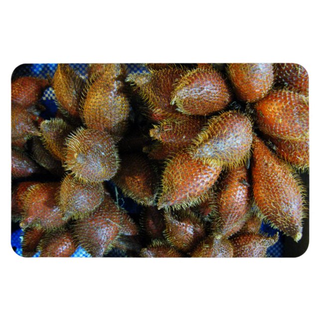 Salak [Snake Fruit] Magnet (Horisontell)