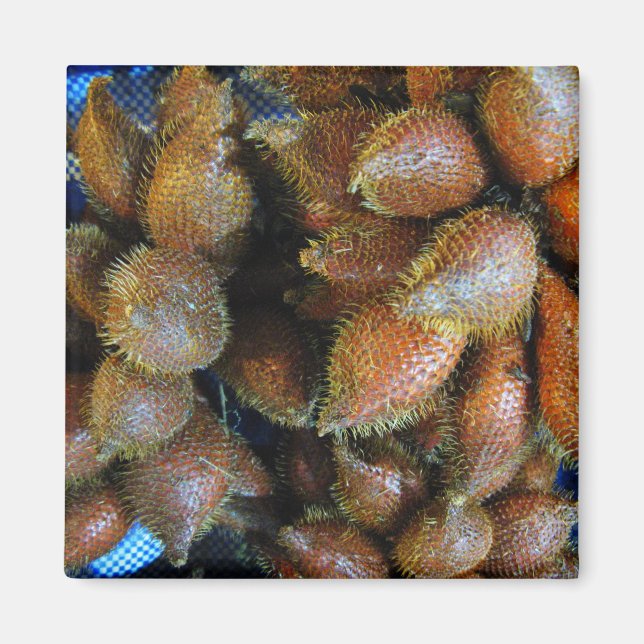 Salak [Snake Fruit] Magnet (Framsidan)