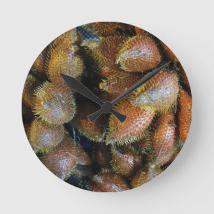 Salak [Snake Fruit] Rund Klocka