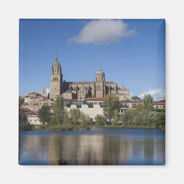 Salamanca-katedralerna och staden magnet (Framsidan)