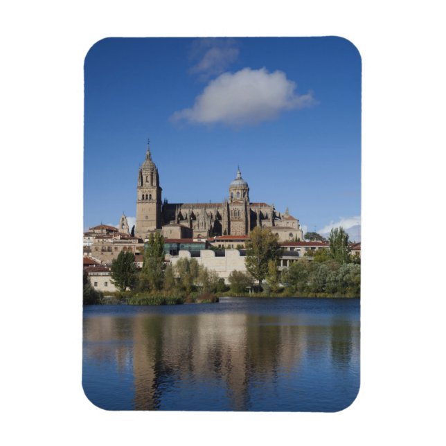 Salamanca-katedralerna och staden magnet (Vertikal)