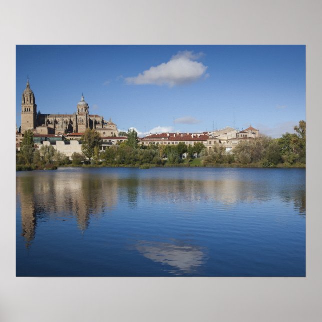Salamanca-katedralerna och staden poster (Framsidan)