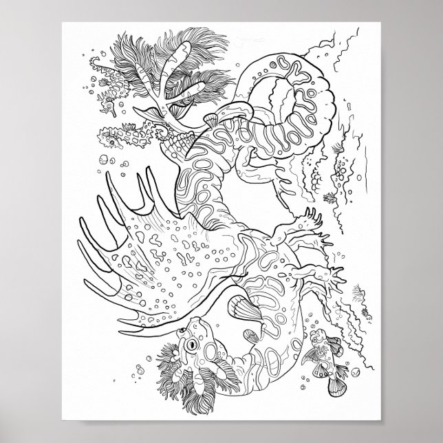 Salamandarin Sea Dragon Line Art Färg din egen Poster (Framsidan)