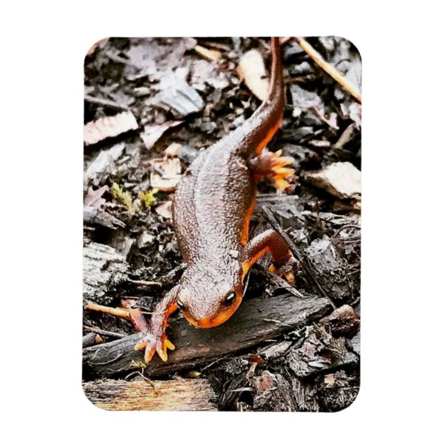 Salamander i skogen magnet (Vertikal)