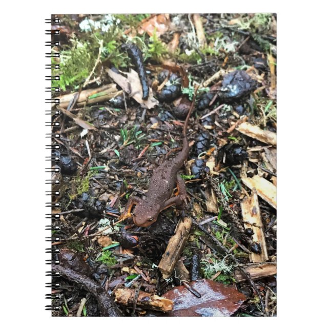 Salamander i skogen, Washington Anteckningsbok (Framsidan)