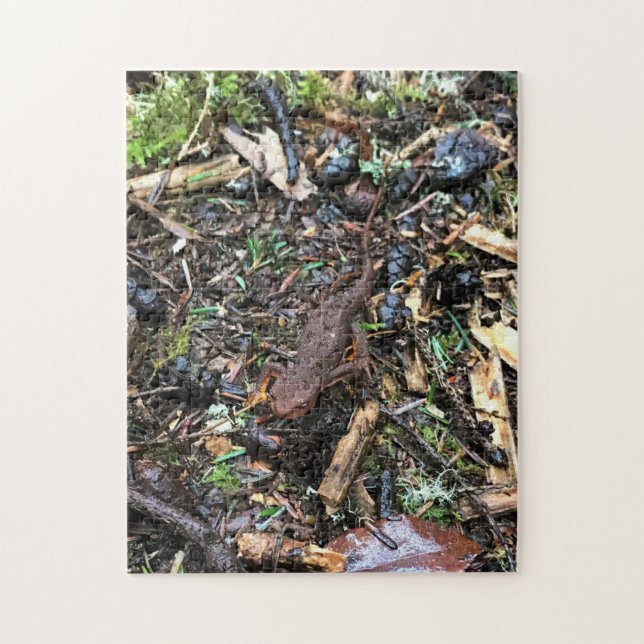 Salamander i skogen, Washington Pussel (Vertikal)