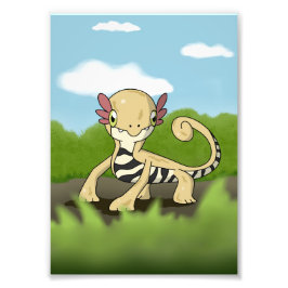 Salamandra Fototryck