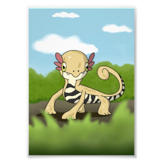 Salamandra Fototryck