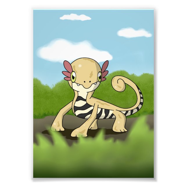 Salamandra Fototryck (Framsidan)