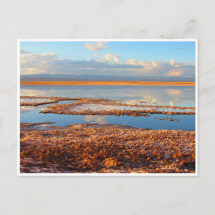 salar atacama vykort