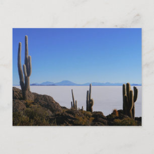 Salar de Uyuni, Bolivia Vykort