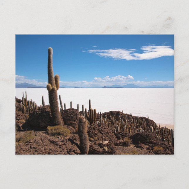Salar de Uyuni cactus vycard Vykort (Framsida)