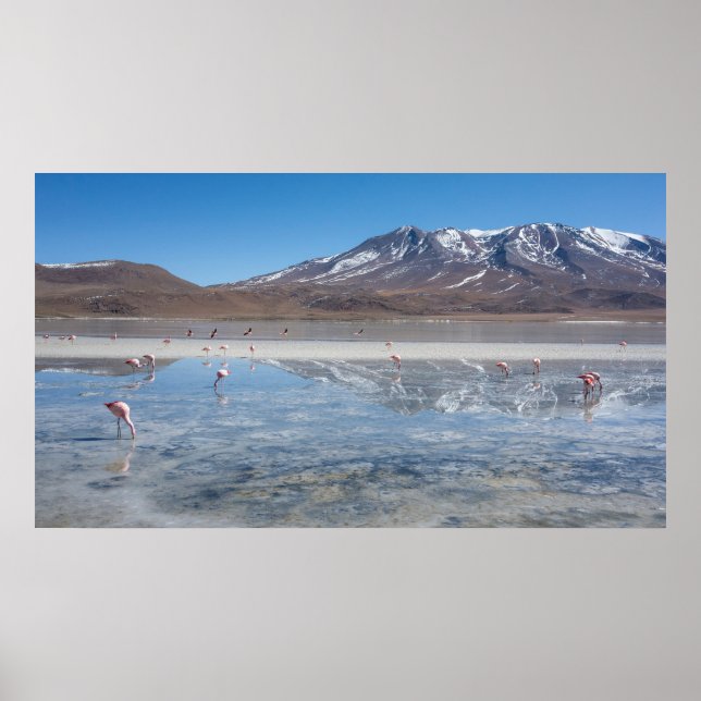 SALAR DE UYUNI SALT FLAT, BOLIVIA POSTER (Framsidan)