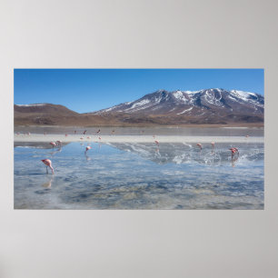 SALAR DE UYUNI SALTA LÄGENHET, BOLIVIA POSTER