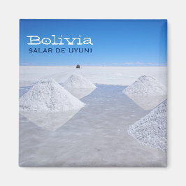 Salar de Uyuni-smalsmätare Magnet