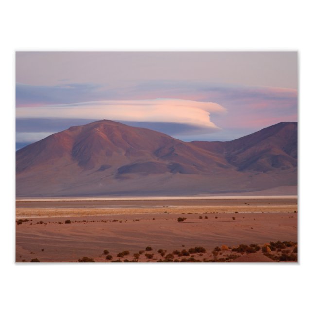 Salar del Huasco, Chile Fototryck (Framsidan)