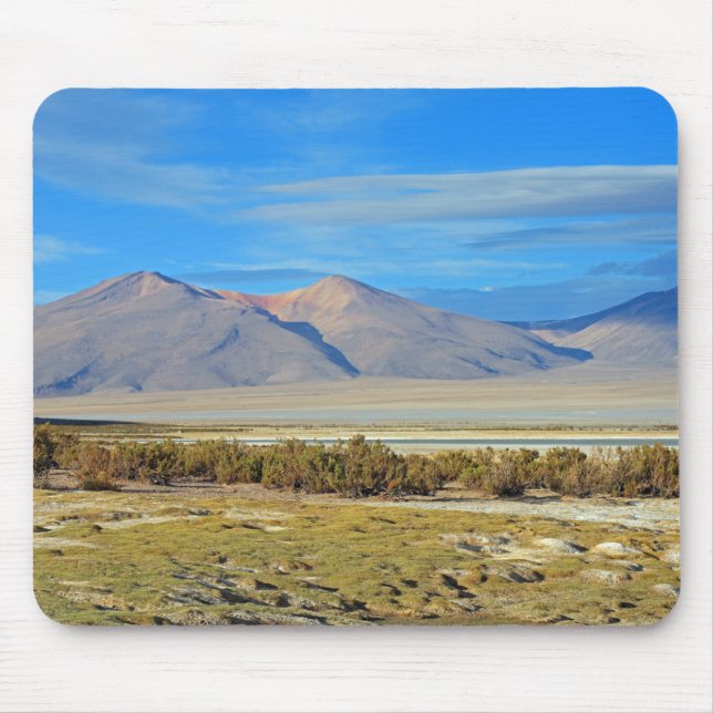 Salar del Huasco, Chile Musmatta (Framsidan)