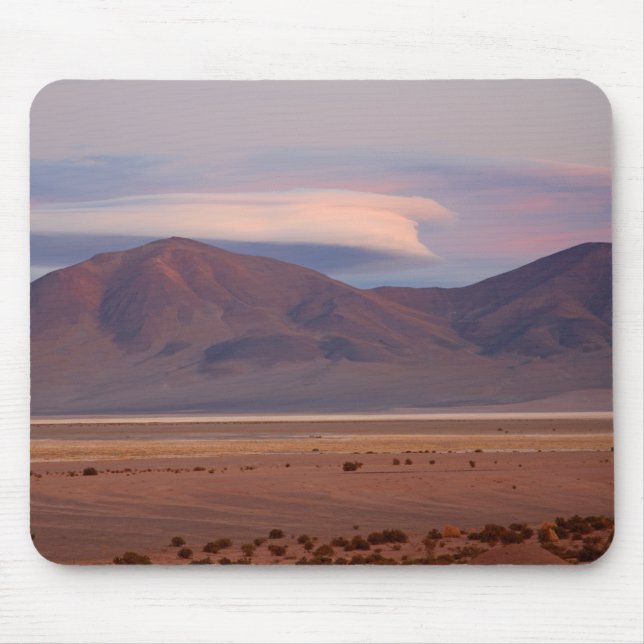 Salar del Huasco, Chile Musmatta (Framsidan)
