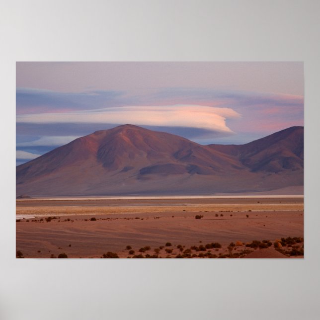 Salar del Huasco, Chile Poster (Framsidan)