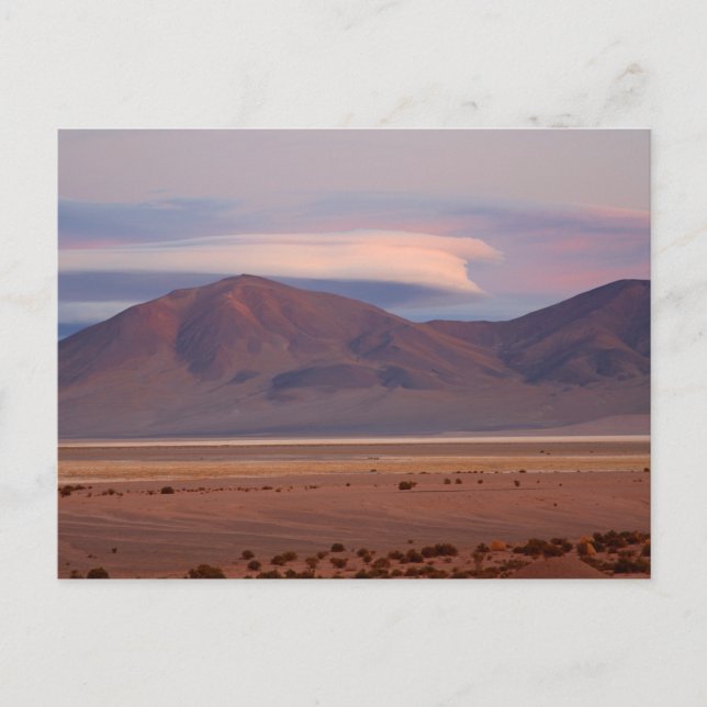 Salar del Huasco, Chile Vykort (Framsida)