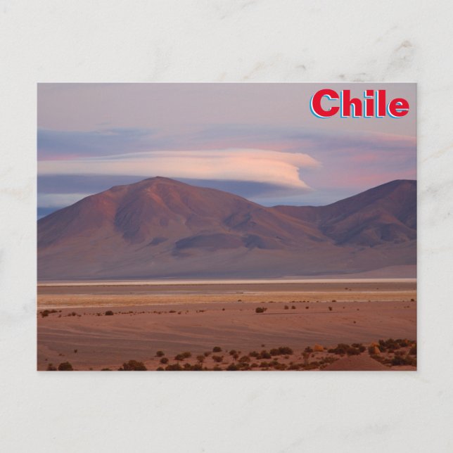 Salar del Huasco, Chile Vykort (Framsida)