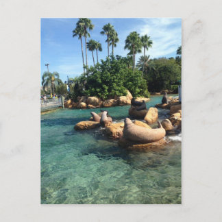 Sälar och Sea Lejon Vykort