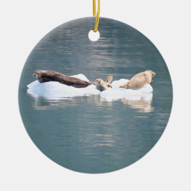 Sälar ornament (Framsidan)