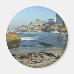 Sälar på sanden i den La Jolla coven Magnet