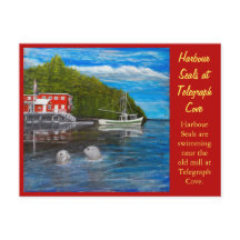 Sälar vid Telegraph Cove, BC Canada.