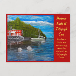 Sälar vid Telegraph Cove, BC Canada. Vykort