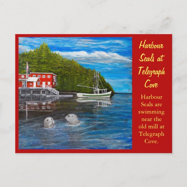 Sälar vid Telegraph Cove, BC Canada. Vykort (Framsida)