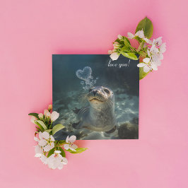 sälblåsande hjärtbubblor