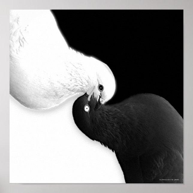 Saldo per B & BB Poster (Framsidan)