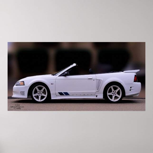 SALEEN MUSTANG POSTER (Framsidan)