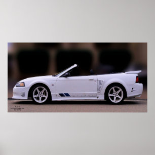 SALEEN-MUSTANGAFFISCH POSTER