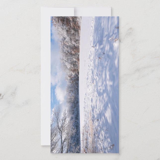 Salem Backe Pond och Forest Winter Ligcape (Framsida)