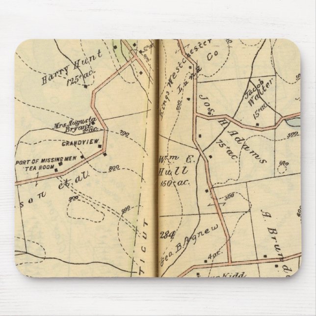 Salem, New York Musmatta (Framsidan)