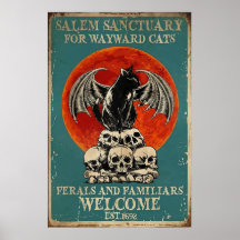 Salem Sanctuary for Wayward Cats, Vintage Cat
