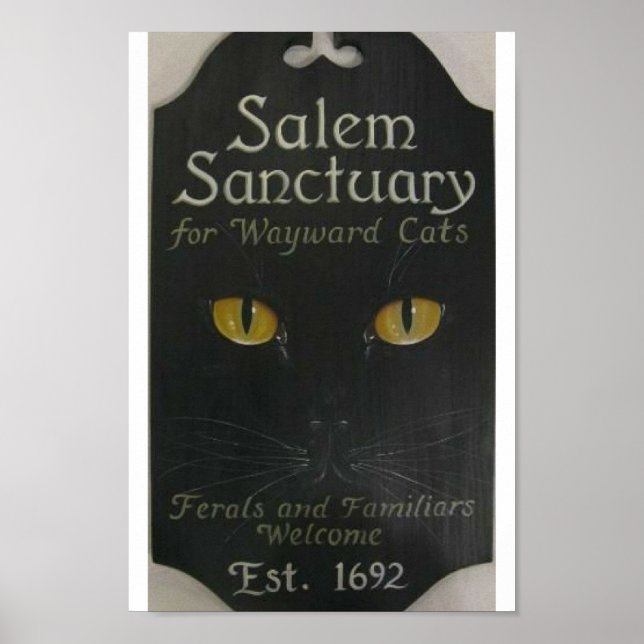 Salem Sanctuary Poster (Framsidan)