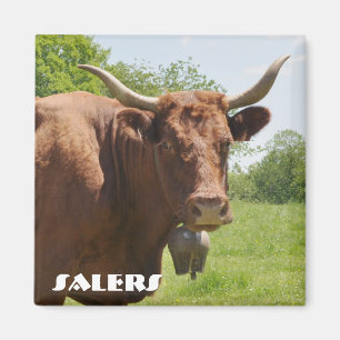 Salers komagnet magnet