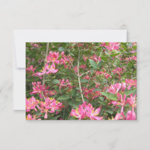 Saliga Blommor