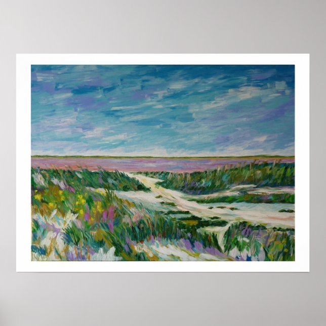 Saline de Camargue Poster (Framsidan)